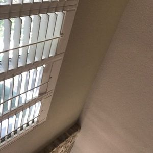 Meet your Posher, Leilani